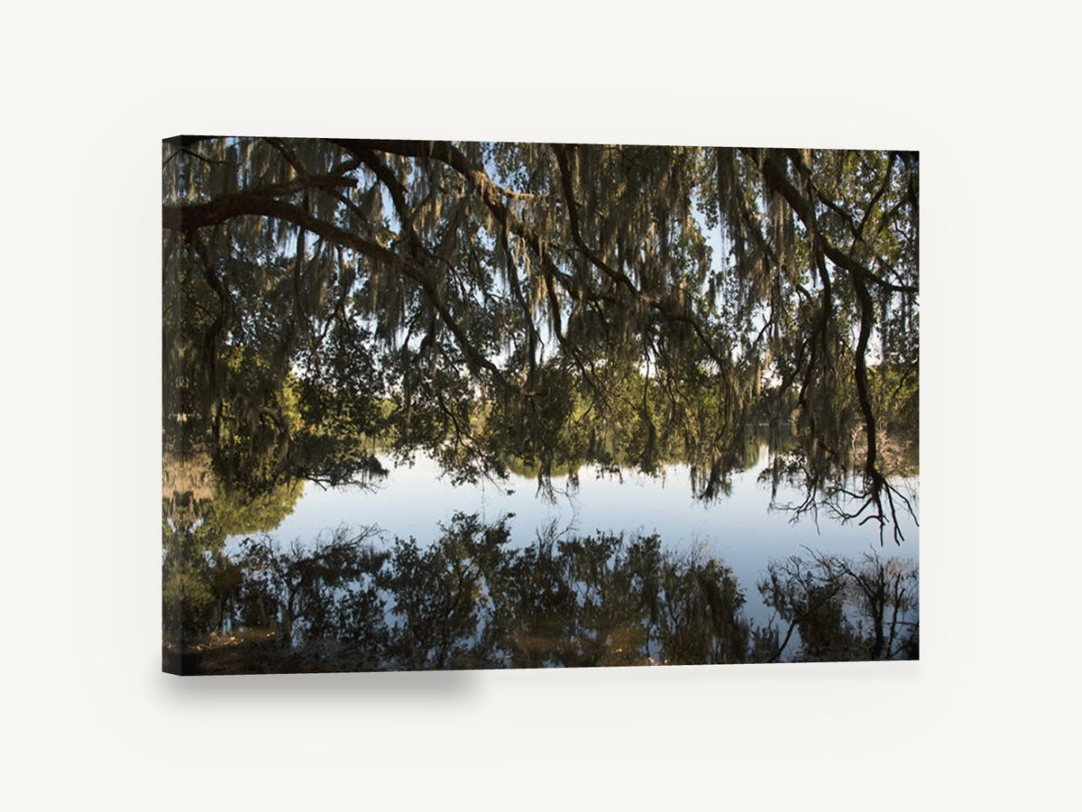 Moss Canopy Reflection, mossy oak lake reflection photograph, landscape canvas wall art print ready to hang