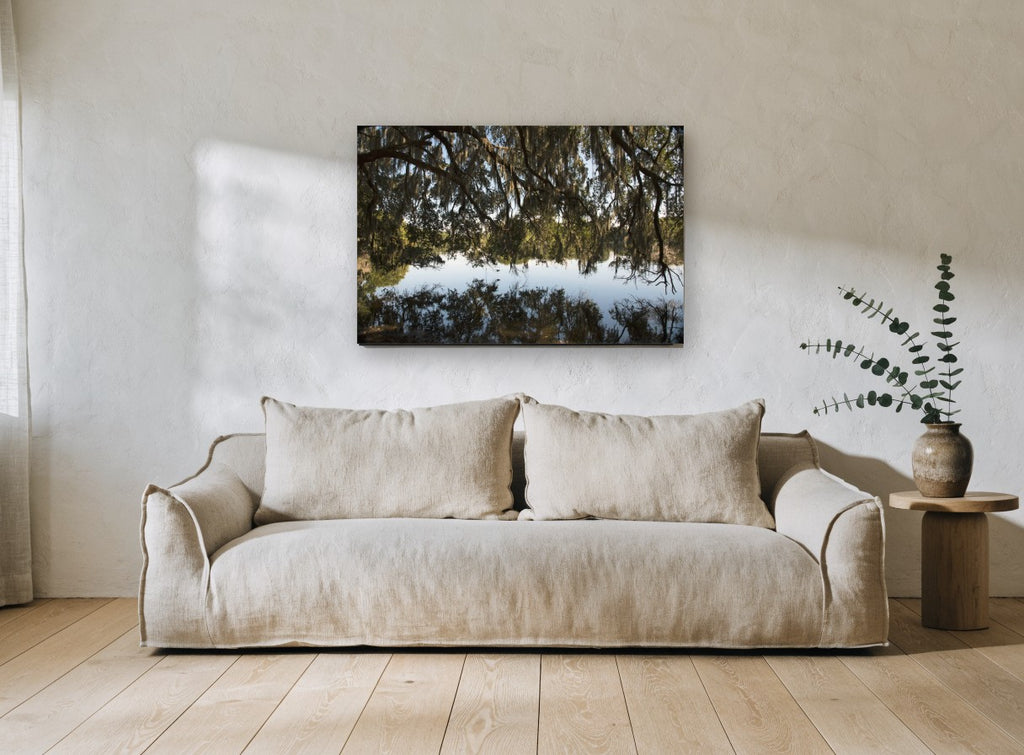 Moss Canopy Reflection landscape canvas print on the wall of a living room