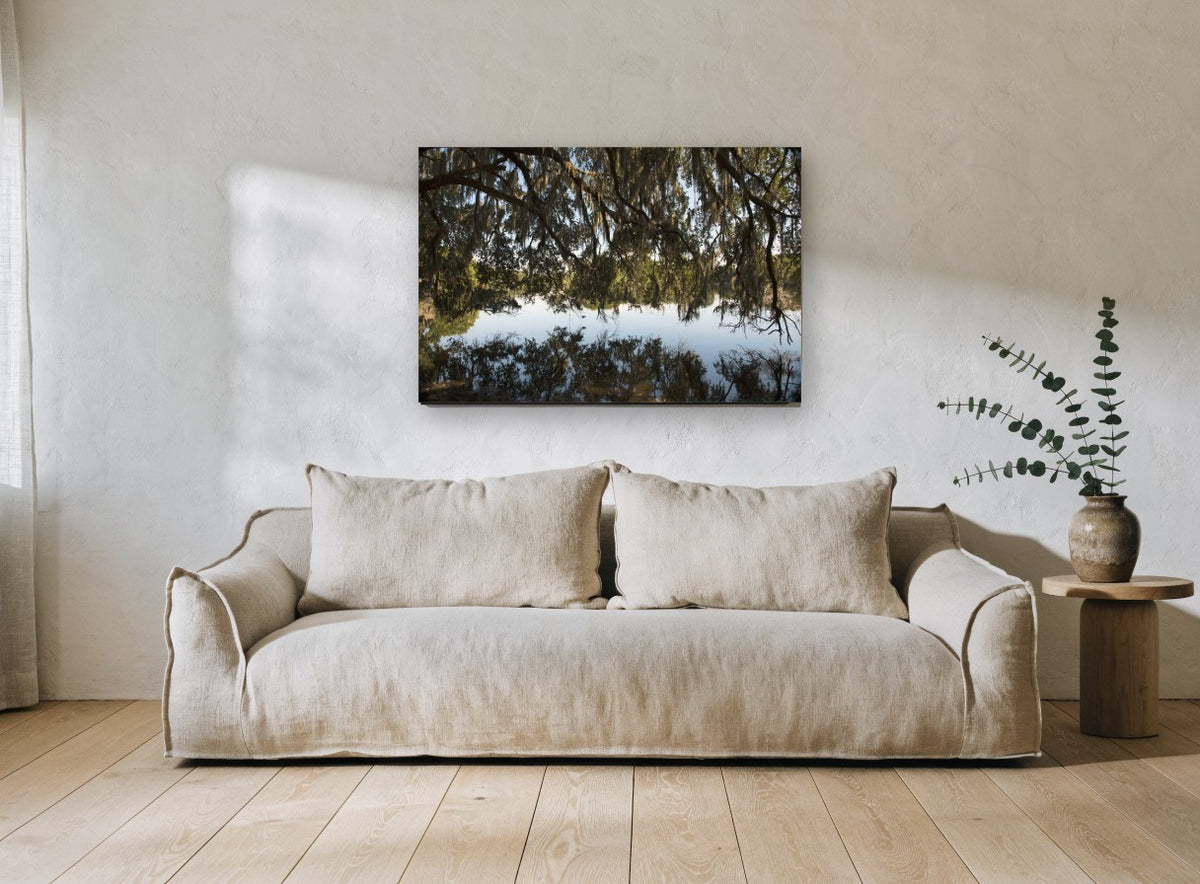 Moss Canopy Reflection landscape canvas print on the wall of a living room