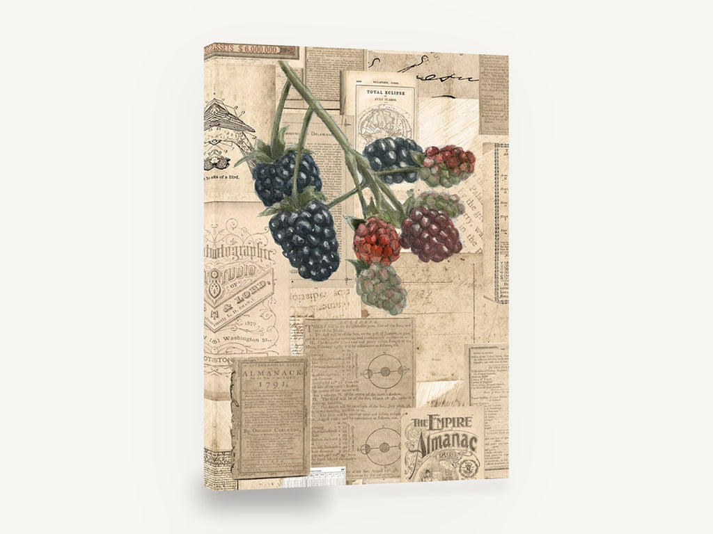 Blackberries and Almanacs, vintage blackberry almanac collage print, stretched canvas wall art print ready to hang