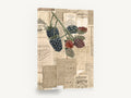 Blackberries and Almanacs, vintage blackberry almanac collage print, stretched canvas wall art print ready to hang