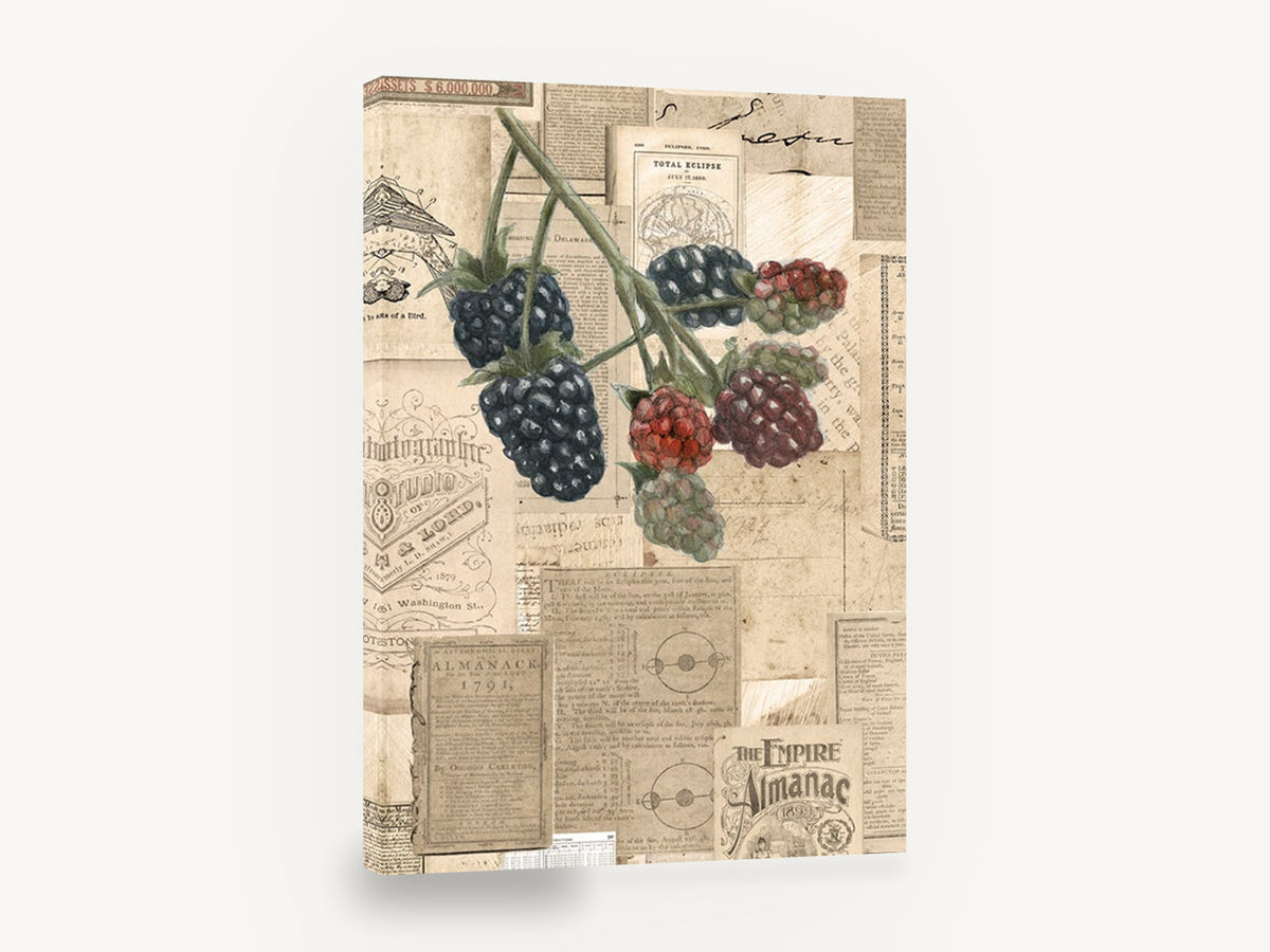 Blackberries and Almanacs, vintage blackberry almanac collage print, stretched canvas wall art print ready to hang