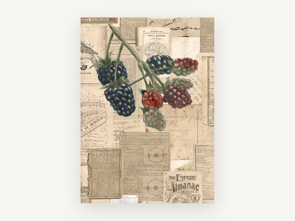 Blackberries and Almanacs, vintage canvas wall art print, front view