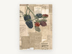 Blackberries and Almanacs, vintage canvas wall art print, front view