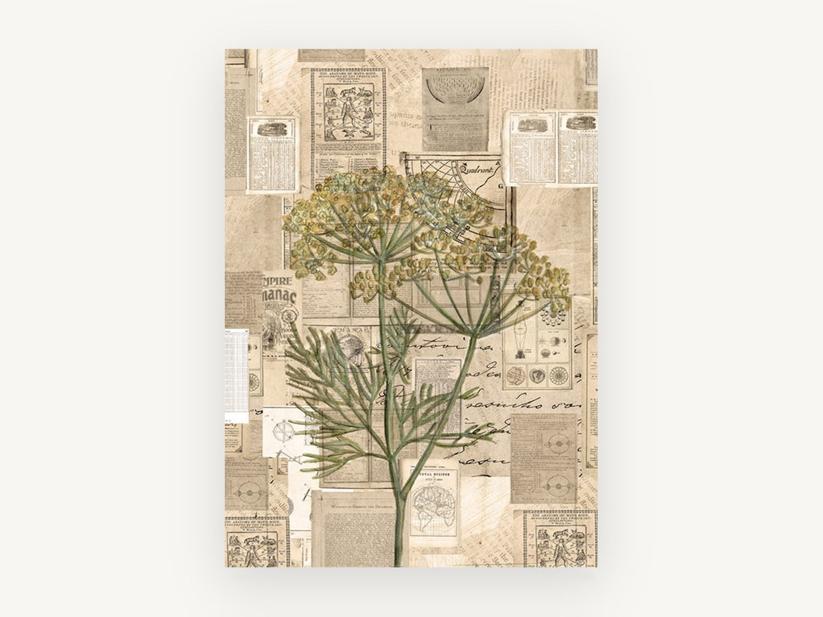 Fennel Almanac Collage, vintage canvas wall art print, front view