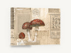 Toadstools on Old Paper, vintage red mushroom botanical collage, stretched canvas wall art print ready to hang