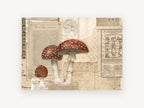Toadstools on Old Paper, vintage canvas wall art print, front view