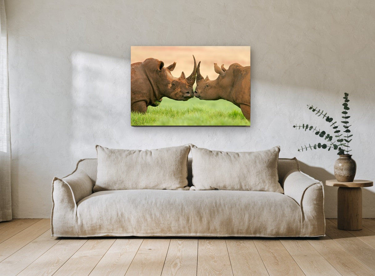Mud-Caked Rhino Greeting animal canvas print on the wall of a living room