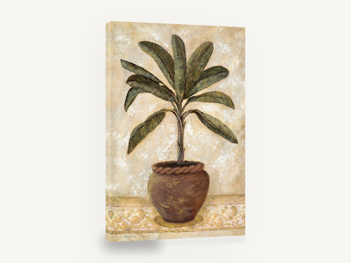 Terracotta Palm Study, potted palm tree vintage botanical, floral canvas wall art print ready to hang