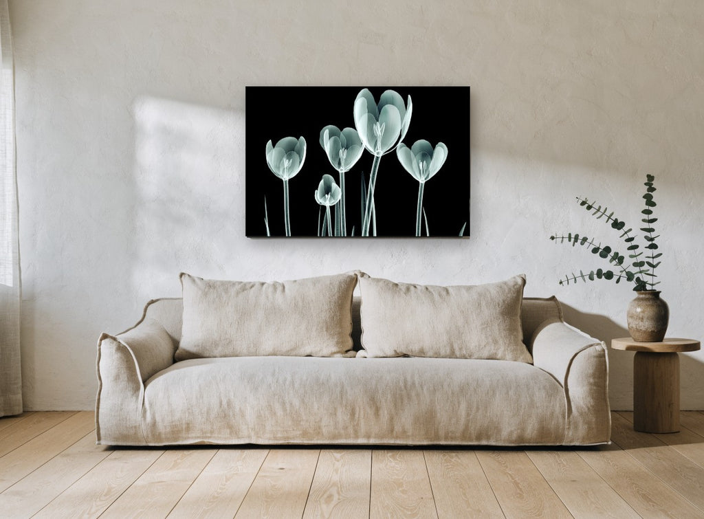 Glass Tulip Study floral canvas print on the wall of a living room