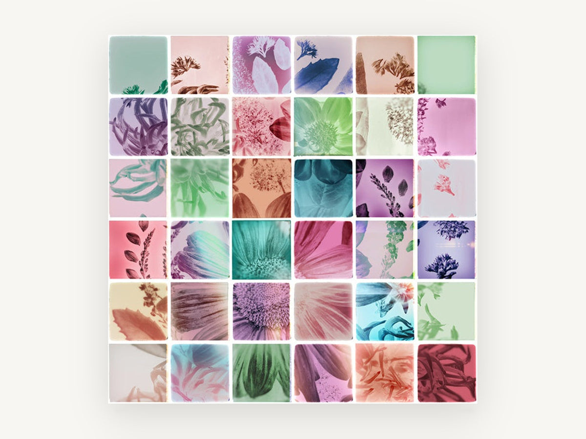 Analog Flower Grid, floral canvas wall art print, front view
