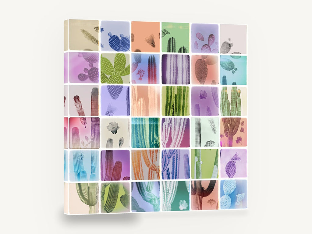Cactus Colour Grid, cactus grid pastel botanical collage, floral canvas wall art print ready to hang
