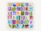 Cactus Colour Grid, floral canvas wall art print, front view