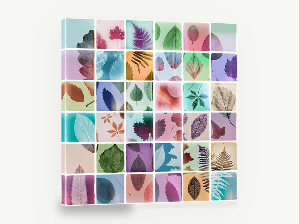 Leaf Print Mosaic, pressed leaf grid botanical photography, floral canvas wall art print ready to hang
