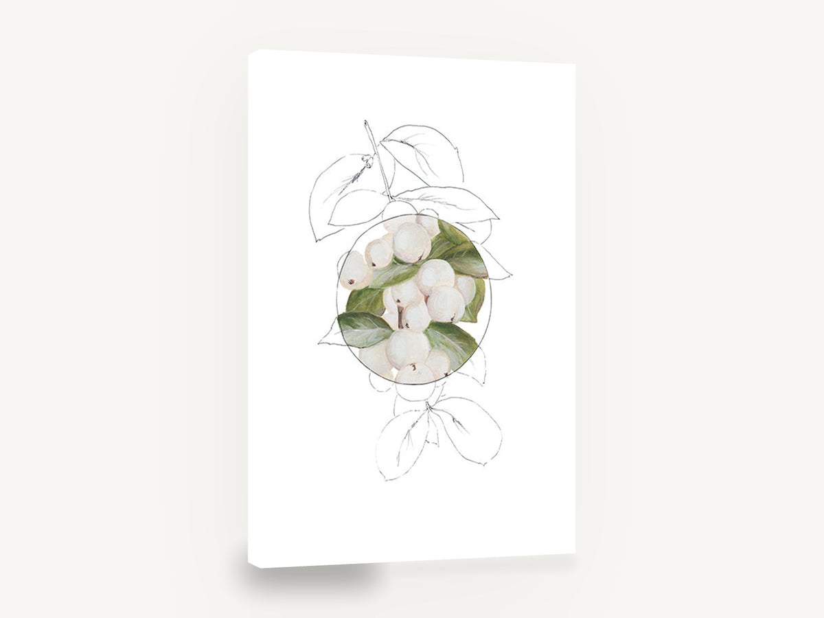 Snowberry Circle Study, white snowberry botanical illustration, floral canvas wall art print ready to hang