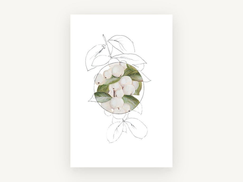 Snowberry Circle Study, floral canvas wall art print, front view