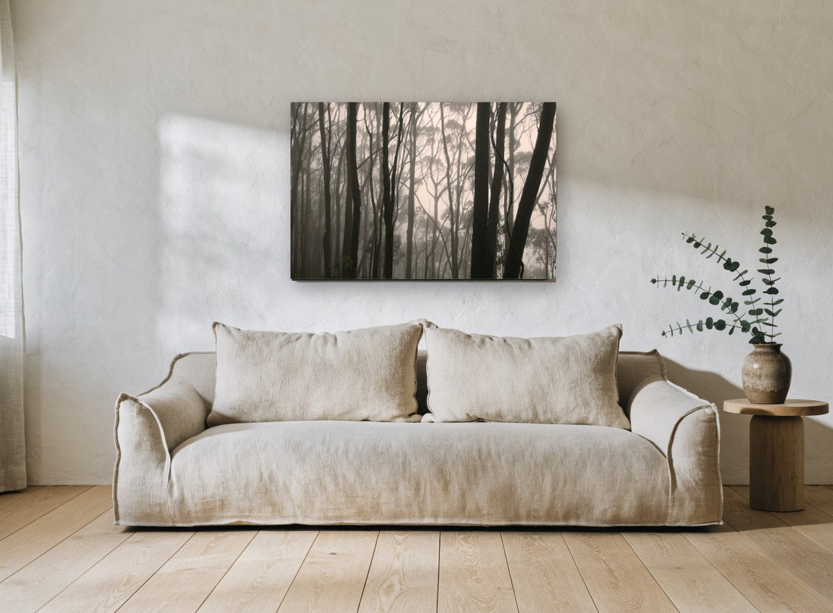 Gum Trunks in Fog landscape canvas print on the wall of a living room