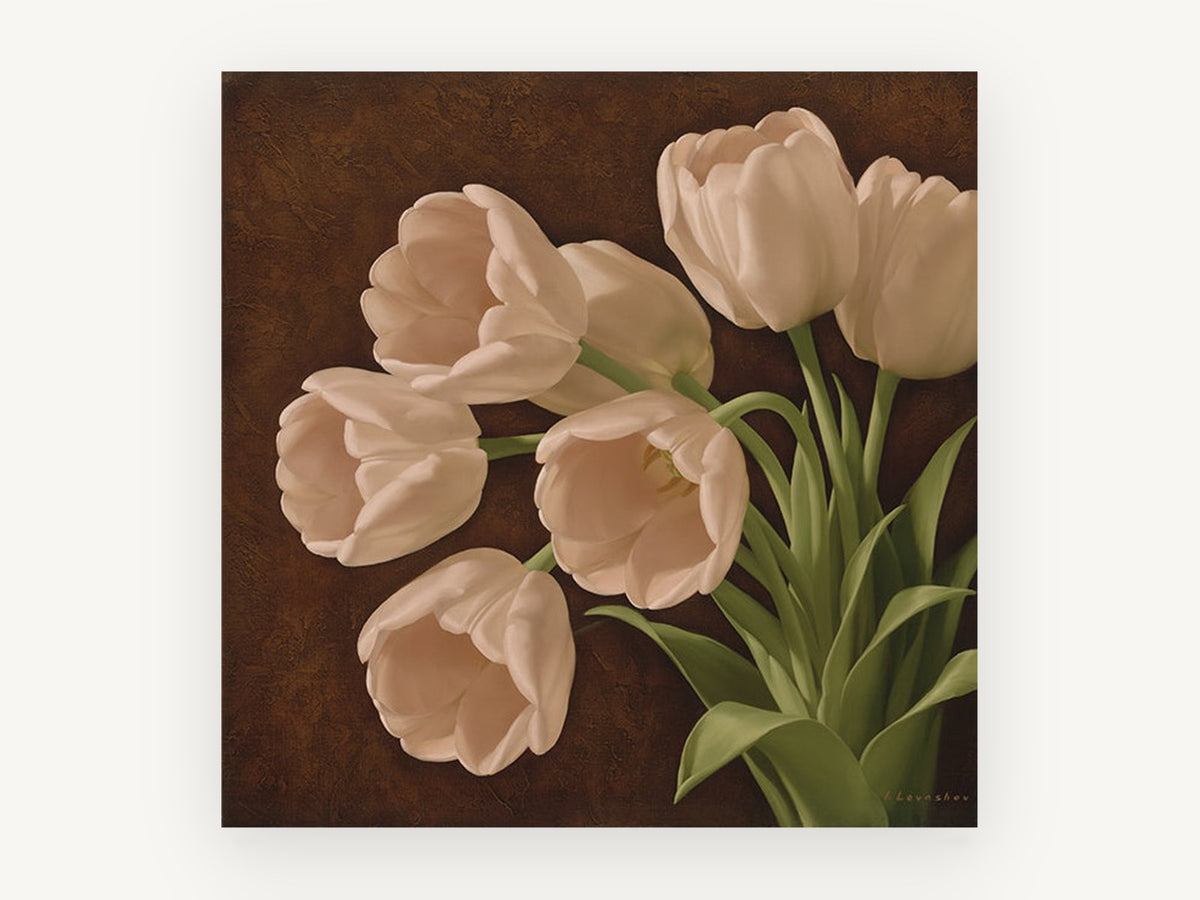 Cream Tulips on Chocolate, floral canvas wall art print, front view