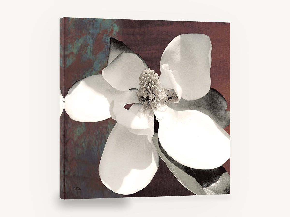 Open Magnolia on Rust, white magnolia flower photograph rust, floral canvas wall art print ready to hang