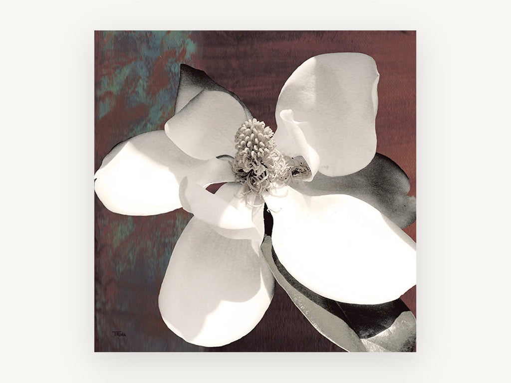 Open Magnolia on Rust, floral canvas wall art print, front view