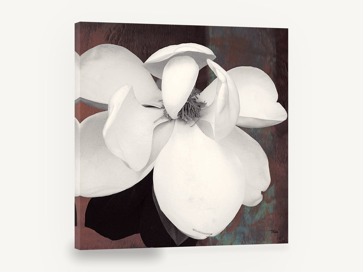 Open Cream Magnolia, white magnolia bloom photograph rust background, floral canvas wall art print ready to hang