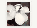 Open Cream Magnolia, floral canvas wall art print, front view