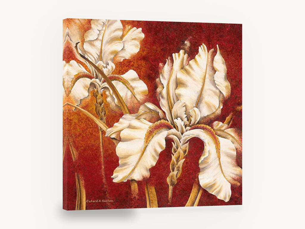 Cream Iris on Crimson, white iris painting red background, floral canvas wall art print ready to hang