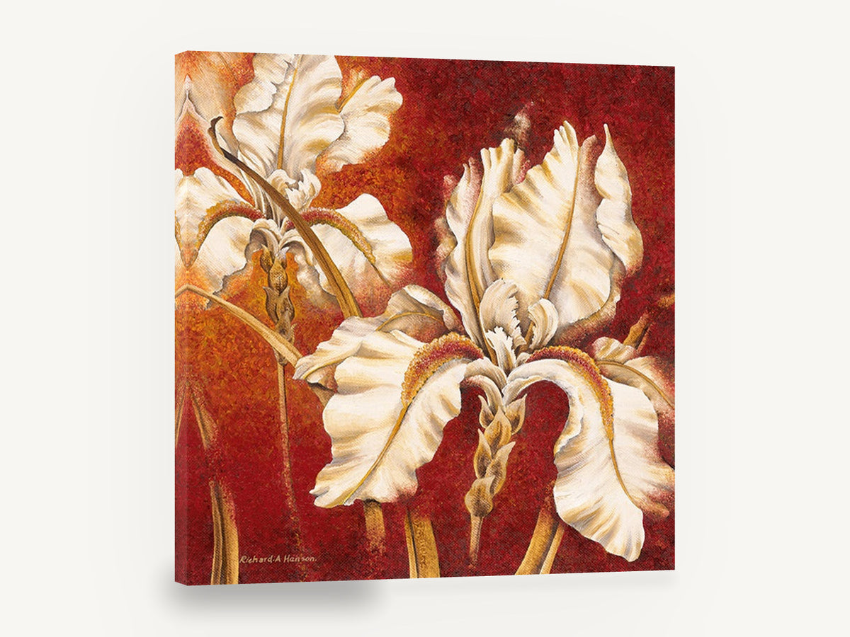 Cream Iris on Crimson, white iris painting red background, floral canvas wall art print ready to hang