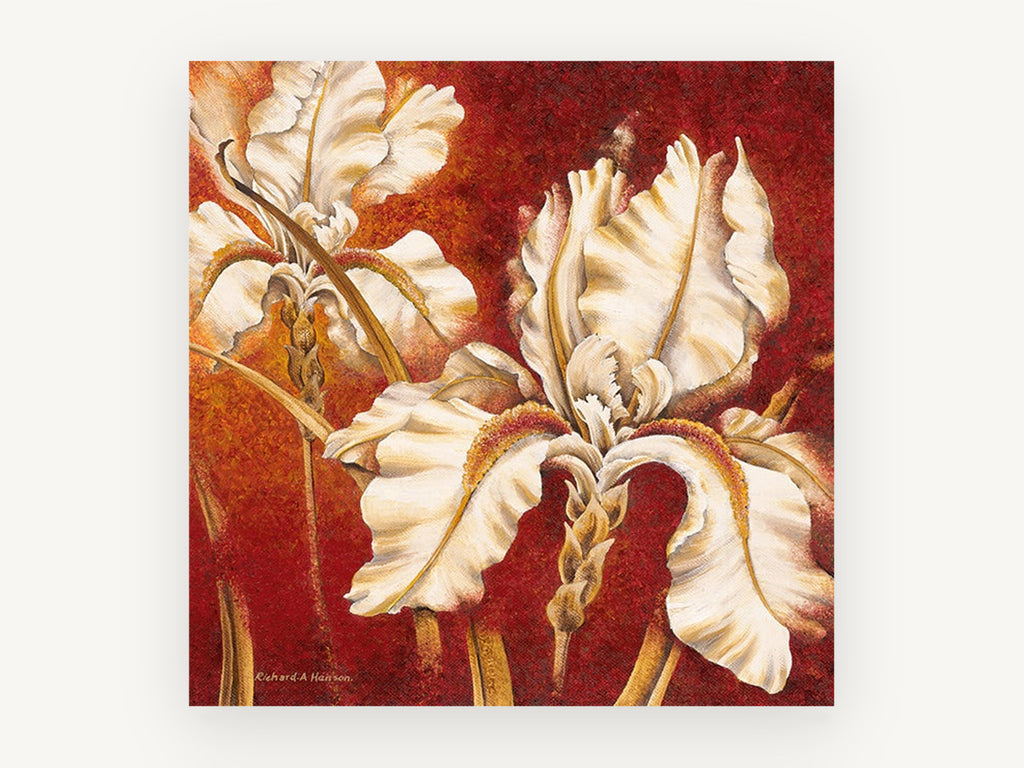 Cream Iris on Crimson, floral canvas wall art print, front view