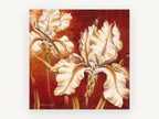 Cream Iris on Crimson, floral canvas wall art print, front view