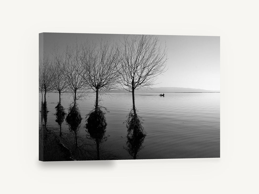 Flooded Willows at Dusk, flooded trees lake black and white, coastal canvas wall art print ready to hang
