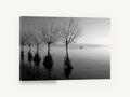 Flooded Willows at Dusk, flooded trees lake black and white, coastal canvas wall art print ready to hang