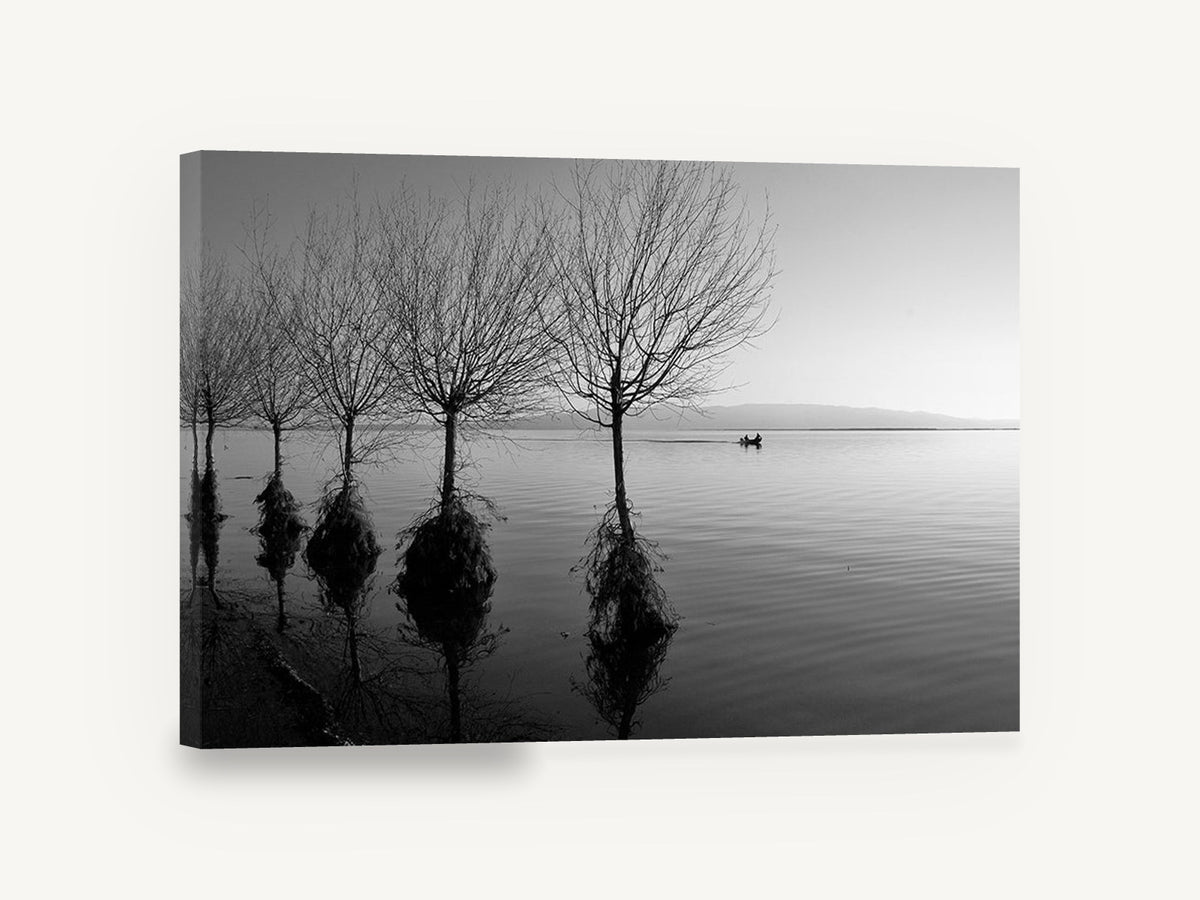 Flooded Willows at Dusk, flooded trees lake black and white, coastal canvas wall art print ready to hang
