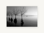 Flooded Willows at Dusk, coastal canvas wall art print, front view
