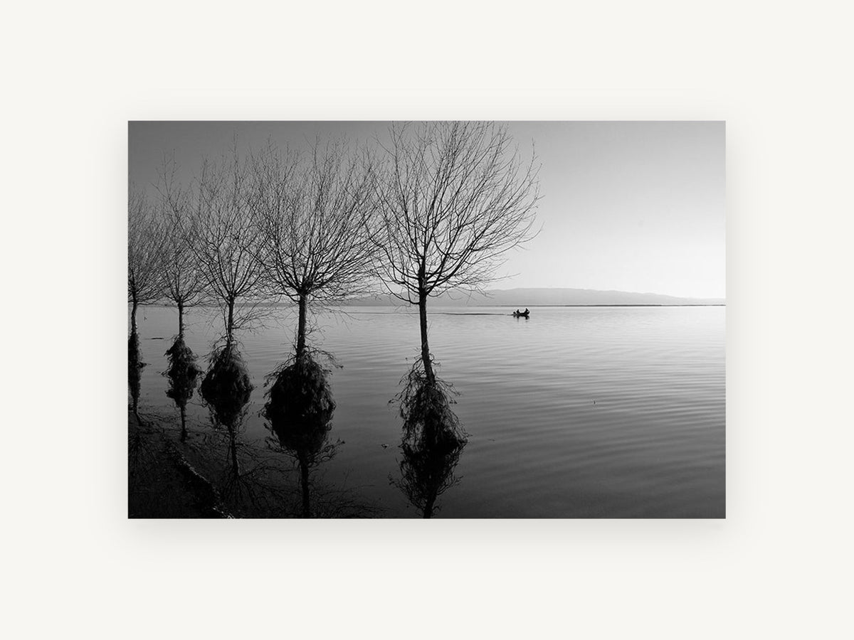 Flooded Willows at Dusk, coastal canvas wall art print, front view