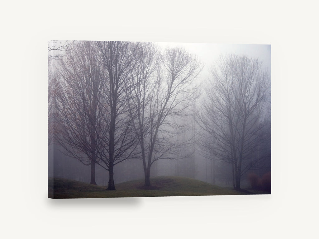 Bare Trees in Fog, misty bare trees fog photograph, landscape canvas wall art print ready to hang