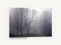 Bare Trees in Fog, misty bare trees fog photograph, landscape canvas wall art print ready to hang