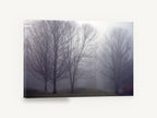 Bare Trees in Fog, misty bare trees fog photograph, landscape canvas wall art print ready to hang