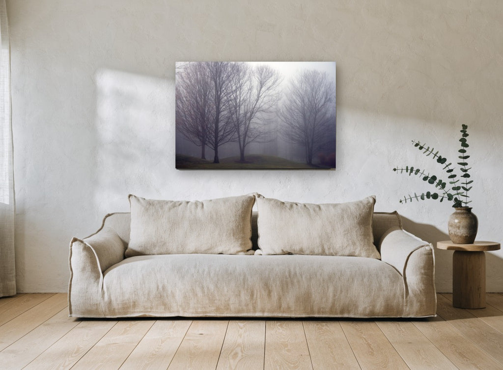 Bare Trees in Fog landscape canvas print on the wall of a living room