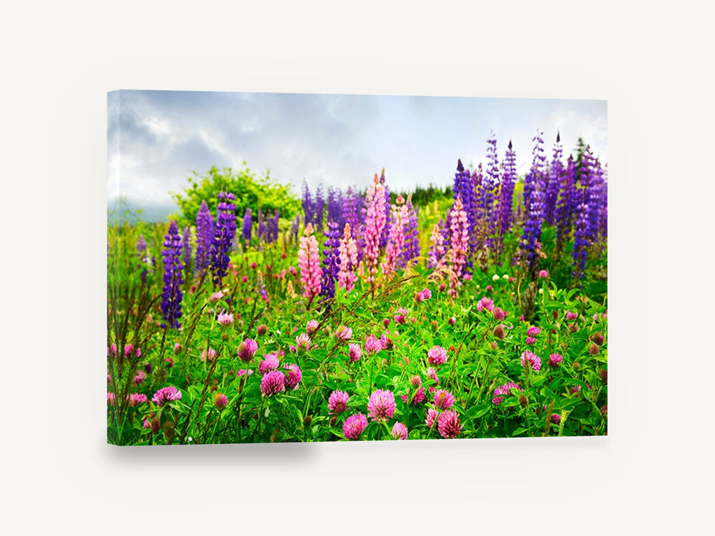 Lupin Meadow Bloom, lupins and clover meadow photograph, floral canvas wall art print ready to hang