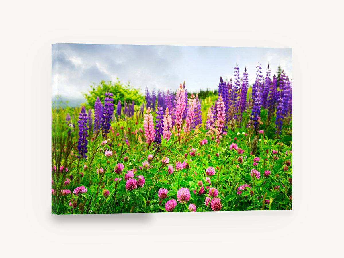 Lupin Meadow Bloom, lupins and clover meadow photograph, floral canvas wall art print ready to hang