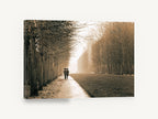 Rainy Walk Together, sepia tree lined path photograph, landscape canvas wall art print ready to hang