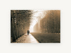 Rainy Walk Together, sepia tree lined path photograph, landscape canvas wall art print, front view