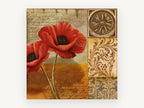 Scarlet Poppies Manuscript, floral canvas wall art print, front view