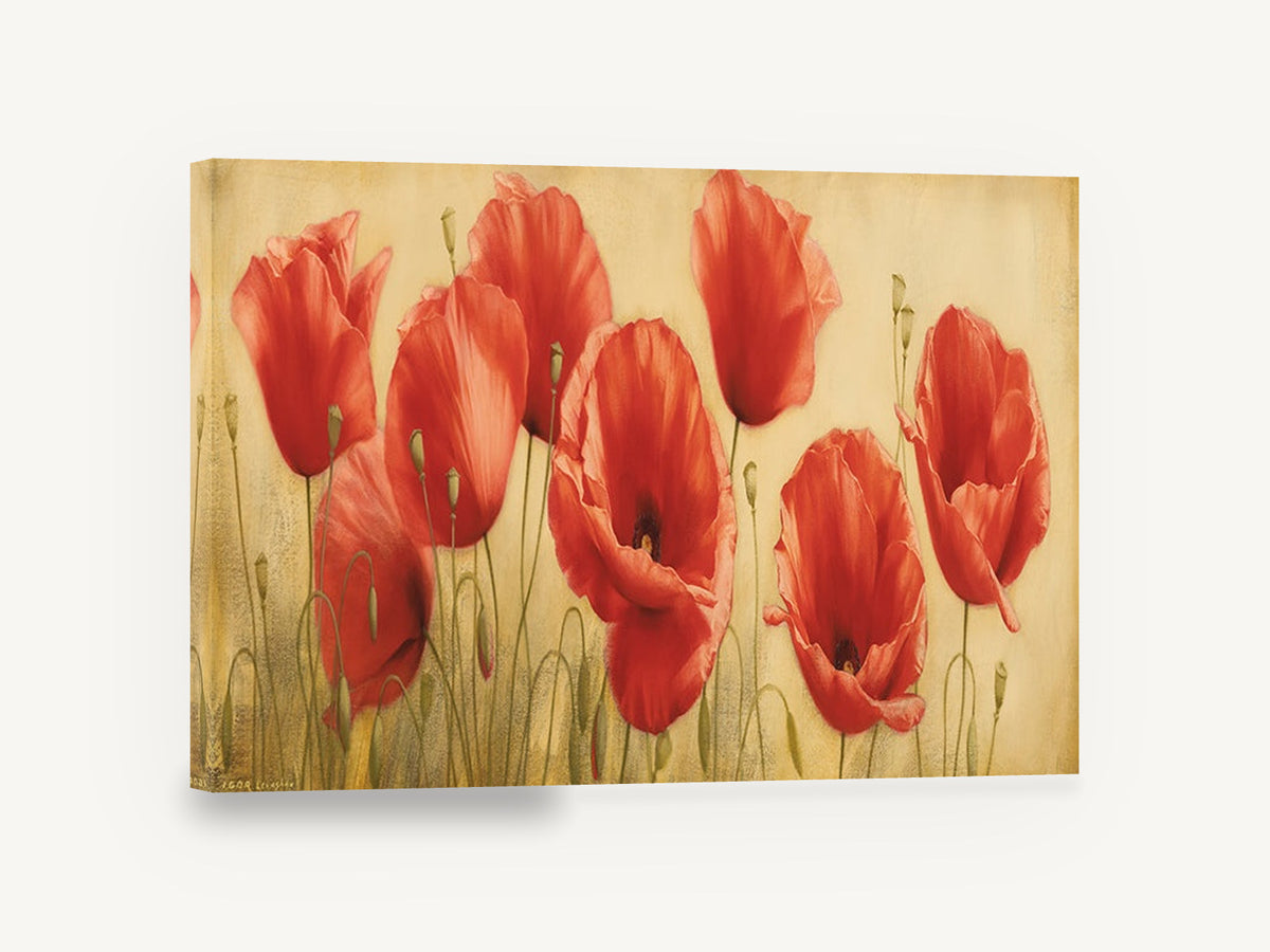 Scarlet Poppy Meadow, red poppies floral painting style, floral canvas wall art print ready to hang