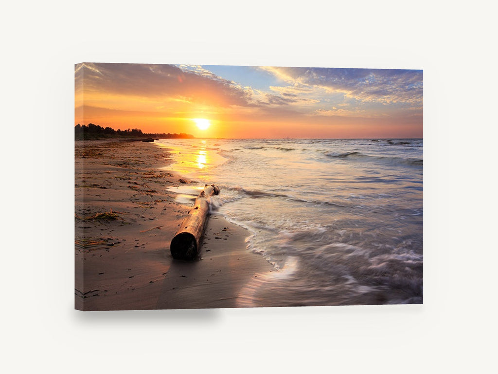 Driftwood at Dawn, sunrise beach driftwood photograph, coastal canvas wall art print ready to hang
