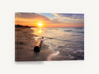 Driftwood at Dawn, sunrise beach driftwood photograph, coastal canvas wall art print ready to hang
