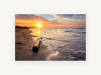Driftwood at Dawn, coastal canvas wall art print, front view