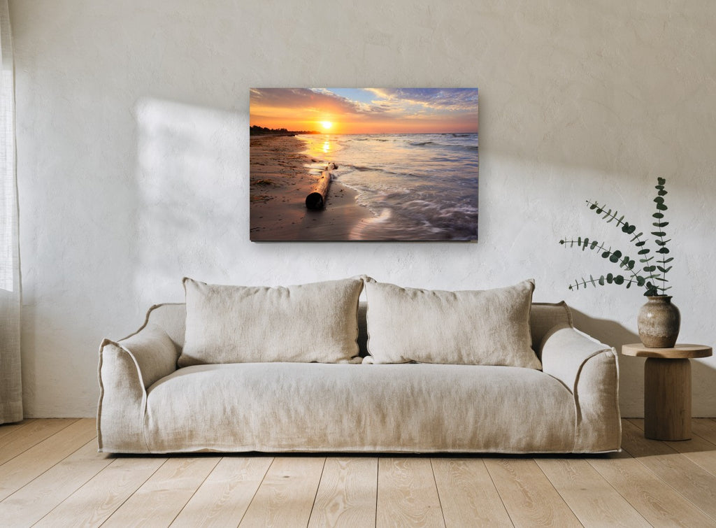 Driftwood at Dawn coastal canvas print on the wall of a living room