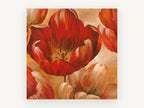 Open Red Tulip Glow, floral canvas wall art print, front view